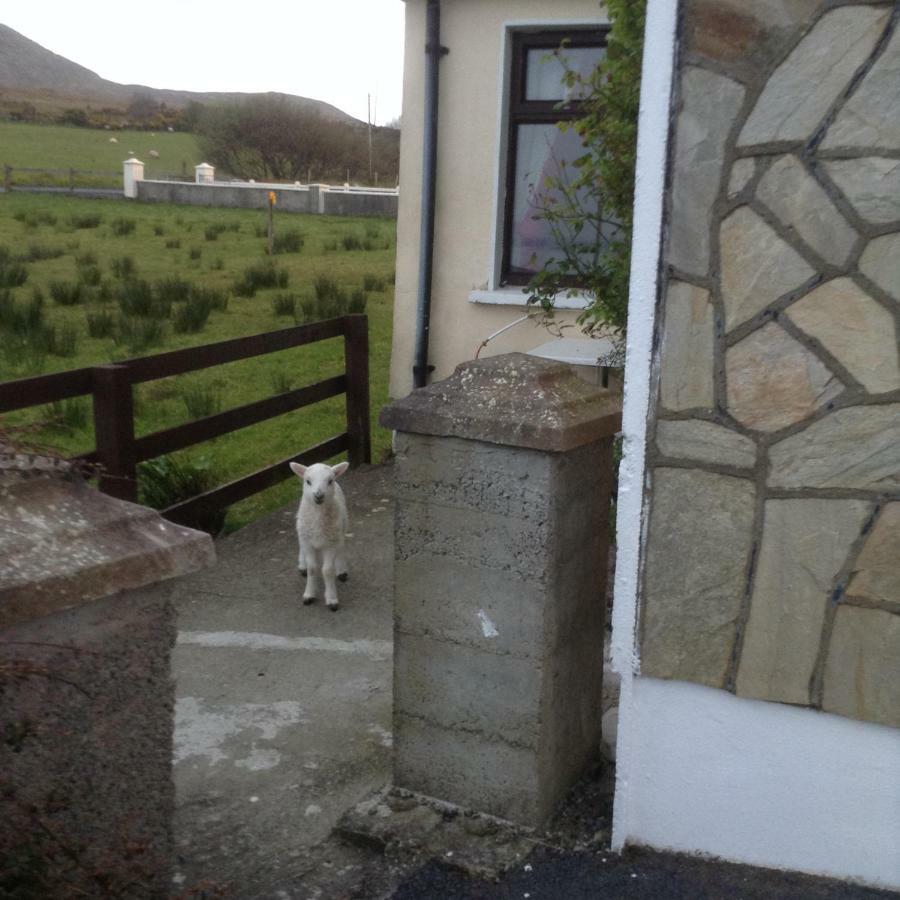 Sea View Chalet Kilsallagh Westport Co Mayo Eksteriør bilde